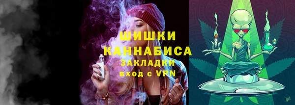 мдпв Волосово