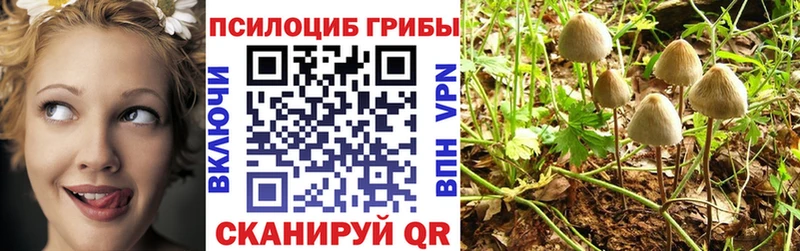 наркотики  Троицк  Галлюциногенные грибы мухоморы 